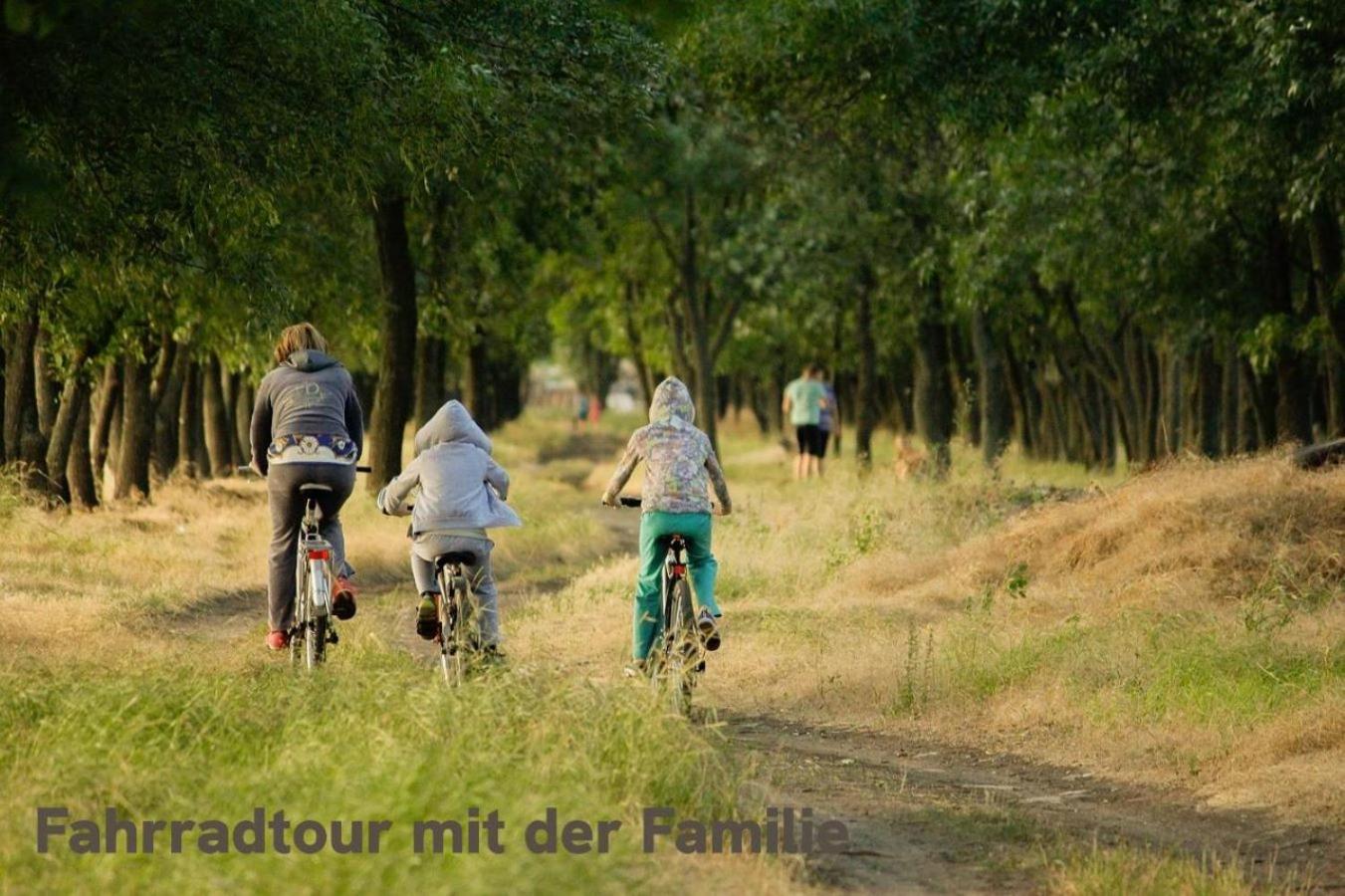 "Lilie" In Geestland-Langen, Ideal Fuer Familien & Homeoffice - Wlan & Parkplatz - 3 Zimmer, Balkon - Nahe Bremerhaven 外观 照片